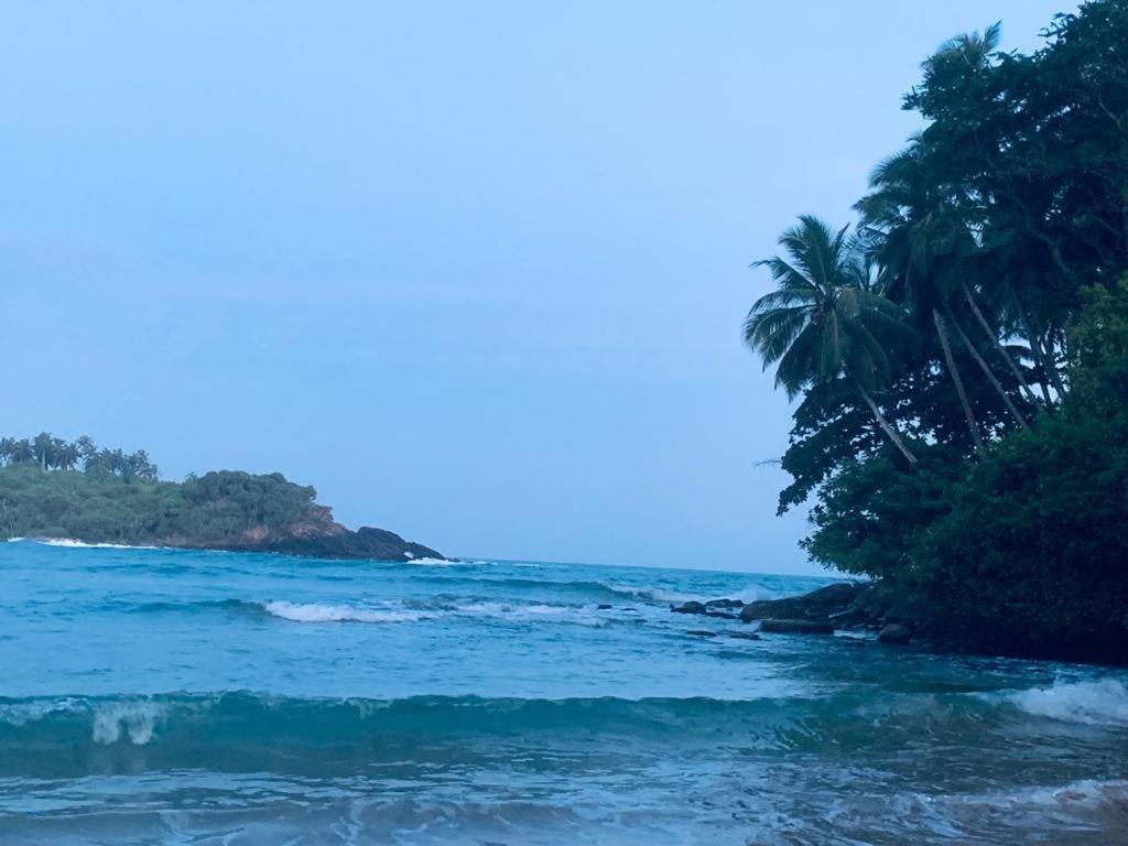 Surf Villa Hiriketiya Matara Exteriör bild