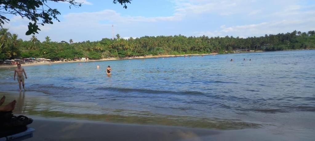 Surf Villa Hiriketiya Matara Exteriör bild